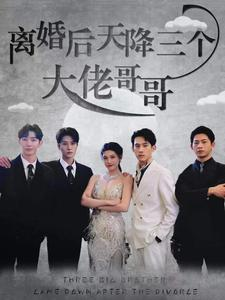 【离婚后天降三个大佬哥哥】83集免费短剧全集轻松在线看