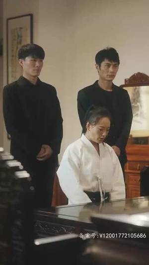 【花都臣服】103集在线短剧免费畅看