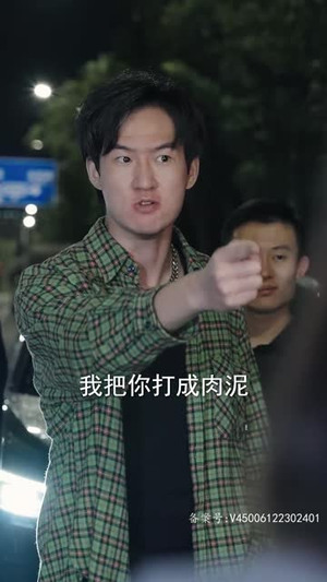 【最强赘婿奶爸】80集短剧免费全集线上看