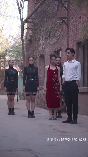 【都市惊龙】60集短剧在线免费全集享