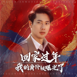 回家过年我的身份被曝光了】60集免费短剧全集在线观赏