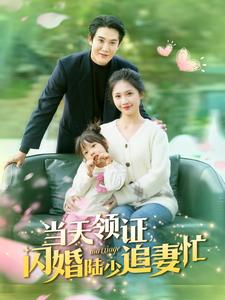 【当天领证闪婚陆少追妻忙】80集高清短剧免费在线看