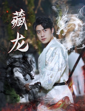 【藏龙】74集短剧在线免费随心看