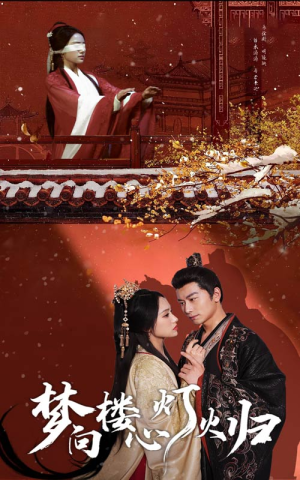 【梦向楼心灯火归】37集免费短剧在线高清观览