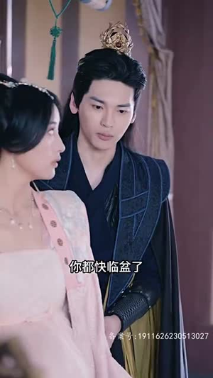 【霸道王爷的在逃王妃】88集免费短剧完整版观看