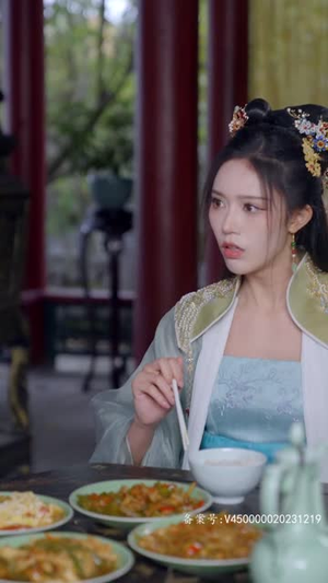 腹黑王爷的千金丫鬟（94集）第一集