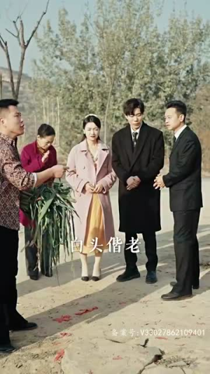 【乘风破浪】94集在线短剧免费尽情看