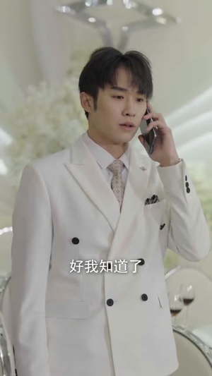 【双宝来袭，甜蜜的我们】74集短剧免费全集赏观