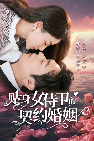 【贴身女侍卫的契约婚姻】91集免费短剧在线直赏