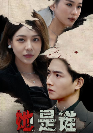 【她是谁】79集在线免费短剧全集赏看