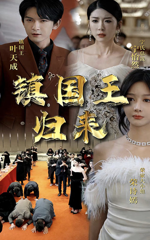 【镇国王归来】95集短剧全集免费在线阅
