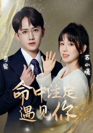 【命中注定遇见你】96集短剧在线免费畅看
