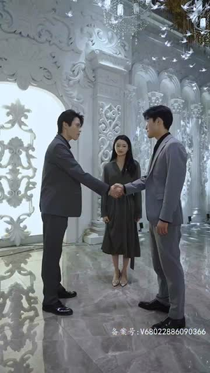 【老板一不小心吻上你】83集免费短剧随心赏