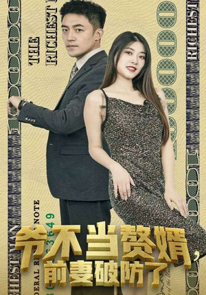 【爷不当赘婿，前妻破防了】80集在线短剧完整版免费看