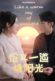【恰似一道暖阳光】85集免费在线短剧高清观看