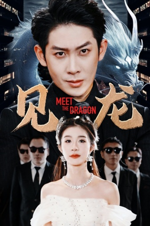 【见龙】78集免费短剧全集即点即看