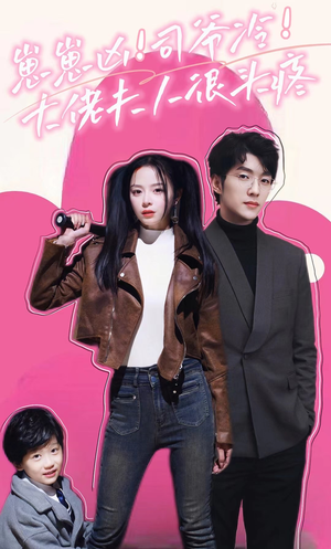 【崽崽凶！司爷冷！大佬夫人很头疼】80集短剧免费资源畅快看