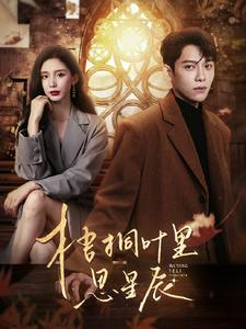 【梧桐叶里思星辰】100集免费在线短剧全集观