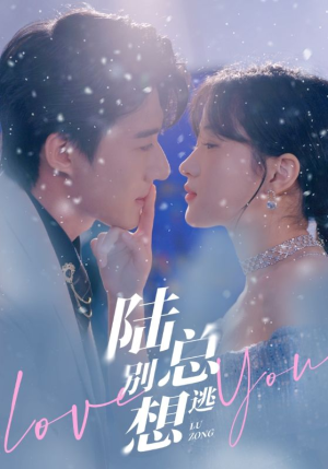 【陆总别想逃】80集免费短剧完整观看