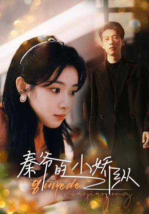 【秦爷的小娇纵】96集免费短剧全集畅看