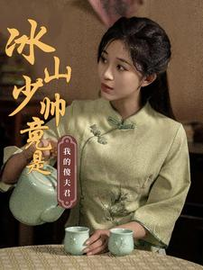 【冰山少帅竟是我的傻夫君】86集短剧在线免费看全剧