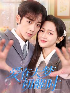 【爱在大梦初醒时】100集短剧在线免费畅看