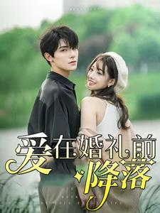 【爱在婚礼前降落】50集短剧完整版在线速看