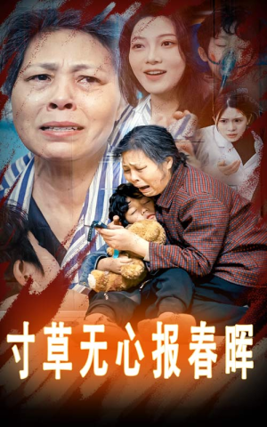 【寸草无心报春晖】31集免费短剧在线观瞧