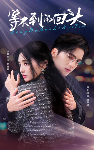 【等不到的回头】35集短剧免费全集观览