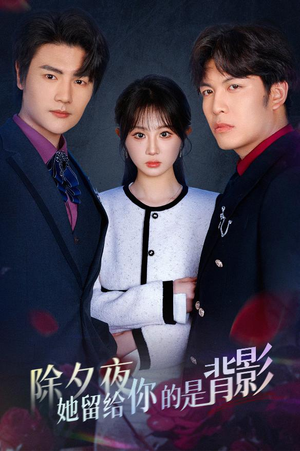 【除夕夜她留给你的是背影】30集在线短剧免费全集高清看