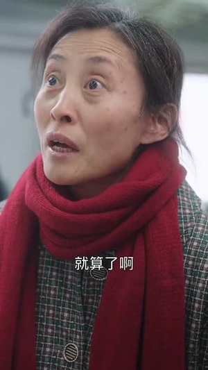 【春运归途团圆年】40集短剧免费全集流畅看