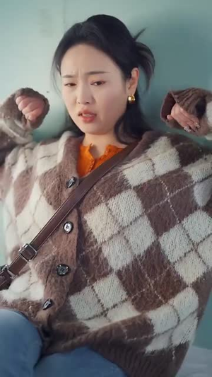 【春运回家路】32集高清短剧在线免费观看