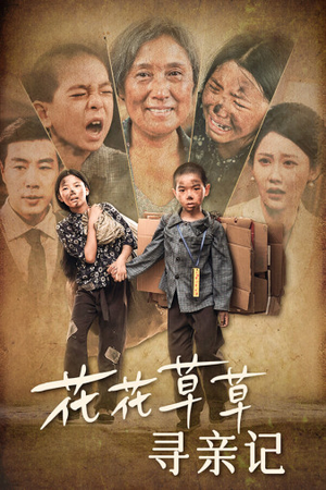 【花花草草寻亲记】42集短剧在线免费览