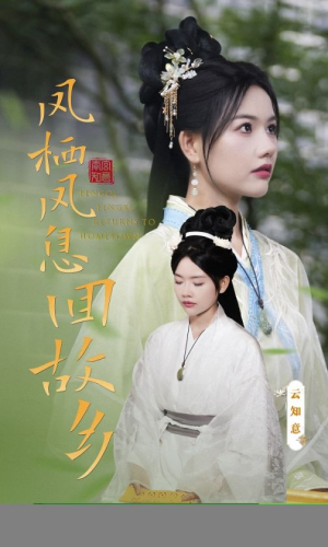 【凤栖凤息回故乡】36集高清短剧在线观赏