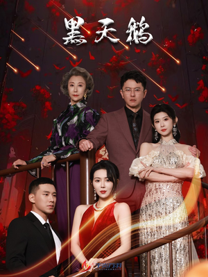 【黑天鹅】51集短剧在线免费畅看