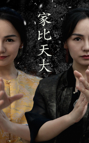 【家比天大】63集短剧全集在线免费看