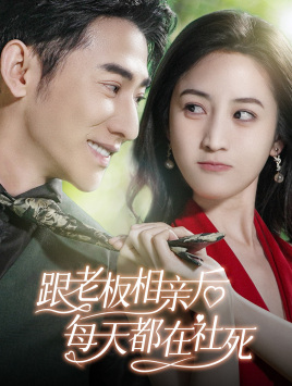 【跟老板相亲后每天都在社死】83集短剧免费全集高清观看