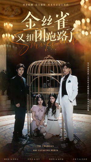 【金丝雀又组团跑路了（长篇）】免费在线看50集短剧全集