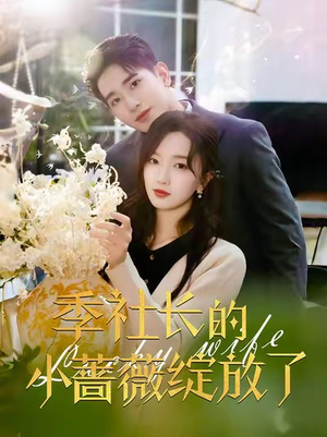 【季社长的小蔷薇绽放了】60集短剧免费全集速看