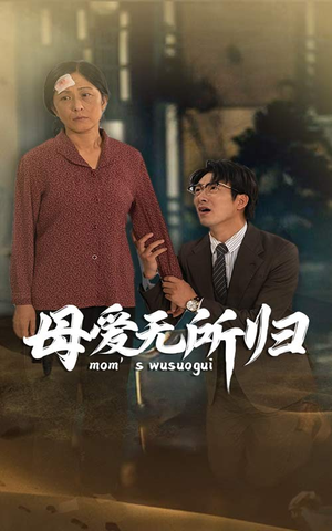 【母爱无所归】33集免费短剧在线追看