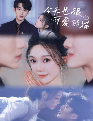 【今天也很可爱的猫】72集短剧免费立即看