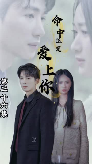 【命中注定爱上你】96集短剧全集免费在线细看