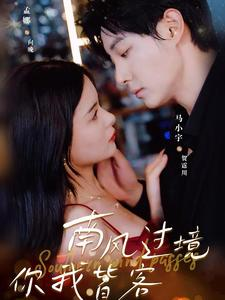 【南风国境你我皆客】80集短剧在线免费畅看