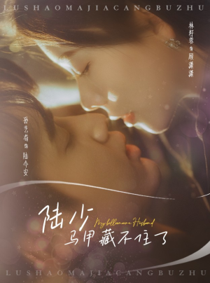 【陆少马甲藏不住了】63集短剧在线免费观全
