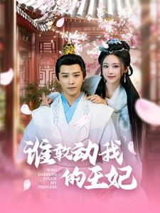【谁敢动我的王妃】62集高清短剧在线观看