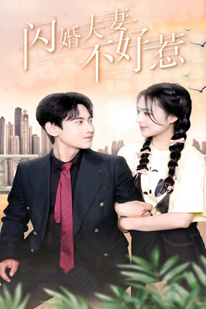 【闪婚夫妻不好惹】90集在线短剧免费完整观看