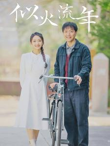 【似火流年】100集在线短剧免费畅享看