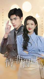 【情非得已】60集短剧在线免费全集速看