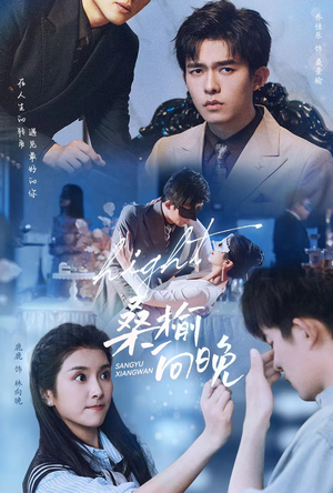 【桑榆向晚】65集短剧完整版免费观看