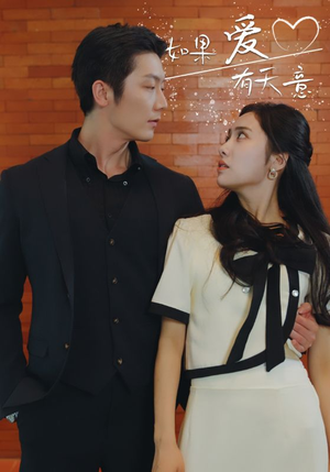 【如果爱有天意】80集短剧全集畅快观看